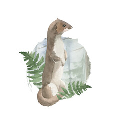 Watercolor composition with Weasel and Fern. Forest theme.