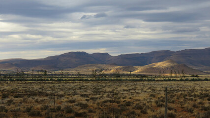 Agave plantation near Nieu Bethesda