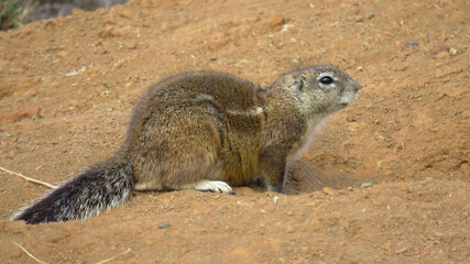 Shall I go down or not?