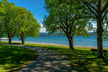 Obraz premium Seeufer Bodensee Sommer Ferien 