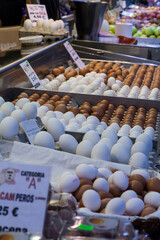 fresh eggs market