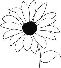 Sunflower flower line art back and white design, abstract,beautiful vector, isolated illustration 