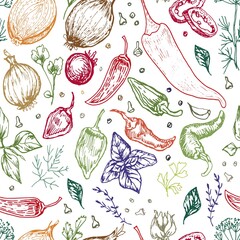 Spices garlic pepper vegetables herbs cooking vector graphics illustration by hand. Engraving print textile, menu recipe cooking food onion basil kitchen set patern seamless