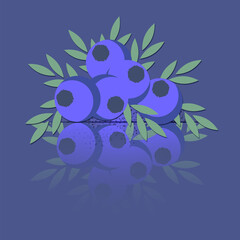 blueberry berry in mirror reflection on a blue background