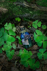 magic witch bottle and clover leaves, natural mysterious forest background. Witchcraft, spiritual...