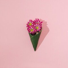 A bouquet of fuschia zinnias emerging from a green ice cream cone on a pastel pink background. Creative summer vibes concept. Lovely artistic nature and holidays vision.
