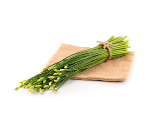 flowering chinese garlic chives on the white background