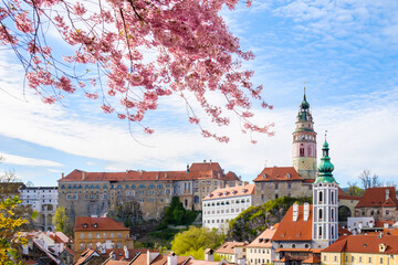 Panoramic view of Cesky Krumlov and blossom pink tree on foreground