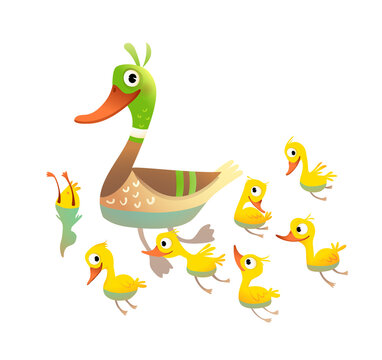 Adorable Duck family, mother with little yellow chicks swimming and diving. Mom Duck with her chicken clipart isolated on white. Vector illustration for children in watercolor style.