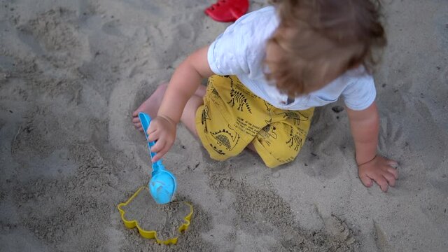 View From Above. Boy Enjoys Playing With Plastic Toys And Sand. Happy And Enthusiastic Curly-haired Child Is Playing In The Sandbox Alone. Childhood, Family And Summertime Concept