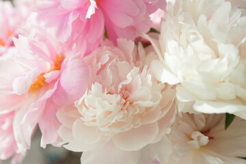 Fototapeta na wymiar Bouquet of pink peonies on the dresser in the bedroom