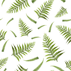 Realistic seamless pattern with natural elements (fern leaves) on white background. Colorful texture for wrapping paper, textile, decorations.
