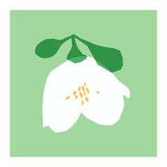 Jasmine flower paper cut vector illustration. Simple flat flower element. Minimalist plant card