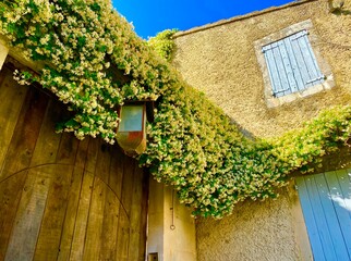 old house with shutters