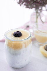 Kefir with homemade apricot jam. Yogurt with homemade apricot jam and one blueberry. Homemade and healthy desserts. Food photography