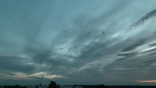 Thousands of May beetles fly across the dark evening sky