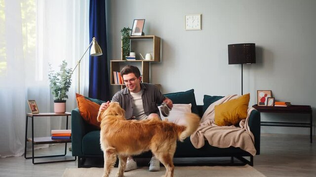 Young man in glasses taking off collar from his dog in living-room after walking. Golden retriever arriving home after walk with male owner. Spending time together with pet. Puppy wagging its tail. 