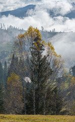 Morning foggy clouds in autumn mountain countryside.  Ukraine, Carpathian Mountains, Transcarpathia.