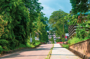 Landscape photographs of University of Lagos, Akoka, Nigeria showing trees, black and white...