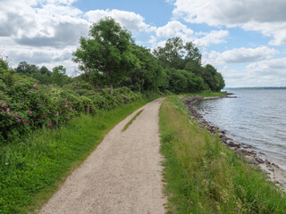 ostseestrand bei Glücksburg
