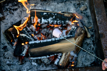 firewood in the fire, toasting a marshmallow. 