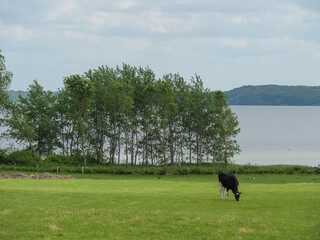 ostseestrand bei Glücksburg