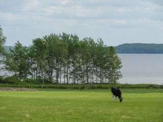 ostseestrand bei Glücksburg