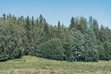 Fototapeta na wymiar Cultural landscape at Toten, Norway, a hot summer day.
