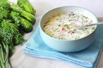 Okroshka - traditional Russian cold soup with fresh cucumber, boiled eggs and dill