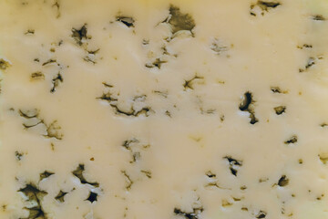 Blue mold cheese texture close-up