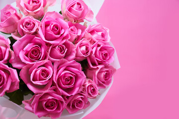 A bouquet of pink roses on a pink isolated background, a banner with copy space. High quality photo