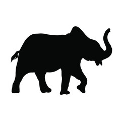 Eelephant Silhouette Vector Image