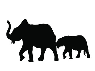 Fototapeta premium Eelephant Silhouette Vector Image