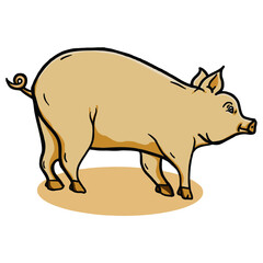 Pig Vector Illustration