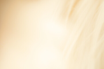 blur abstract gold background texture with banner background - obrazy, fototapety, plakaty