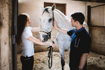 Vet checking horse's health before riding.
