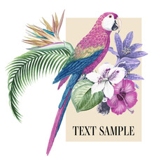 p&aacute;ssaro tropical 