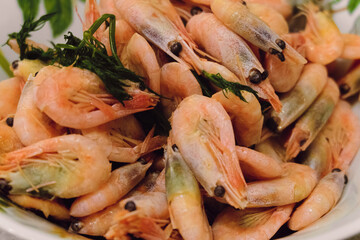 Boiled shrimp with dill. Greenlandic northern shrimp appetizer.