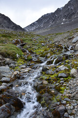 stream in the mountains
