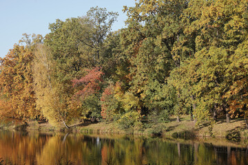 October morning in the park, the bank of the pond
