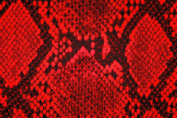 Red python leather as background. Red snake skin background.