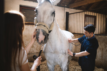 Vet checking horse's health before riding. - obrazy, fototapety, plakaty