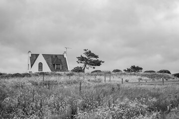 Petite maison & son arbre