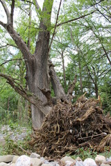 La naturaleza de un rio y maravilloso entorno