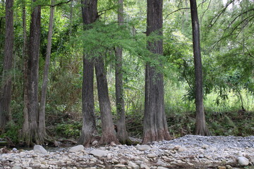 La naturaleza de un rio y maravilloso entorno
