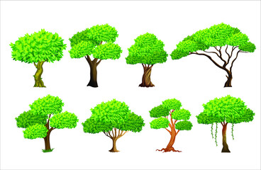 Fototapeta premium defferent collection of trees vector illustration.