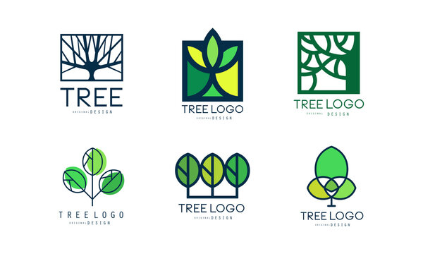 Tree Logo Original Design Set, Abstract Labels for Brand Identity Flat Vector Illustration