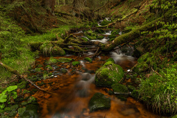 Skrivan color creek in Krusne mountains in spring morning after rain