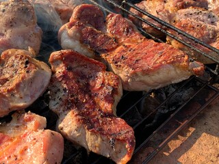 Grilled meat. The process of cooking meat on fire. Barbecue. Rest on weekends.