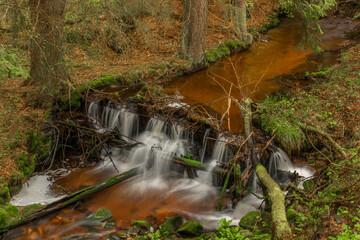 Skrivan color creek in Krusne mountains in spring morning after rain